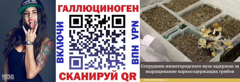 Псилоцибиновые грибы Cubensis  Харовск 